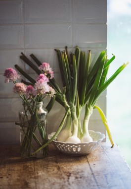 JulieCapelleNutritionniste