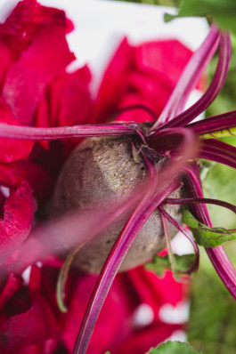 JulieCapelleNutritionniste