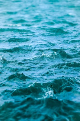 JulieCapelleNutritionniste