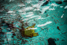 JulieCapelleNutritionniste