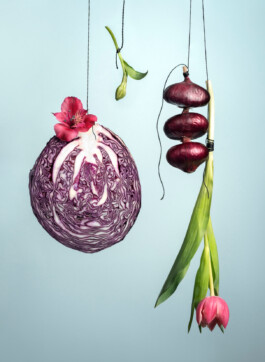 JulieCapelleNutritionniste