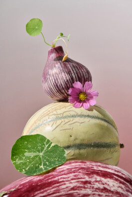 JulieCapelleNutritionniste