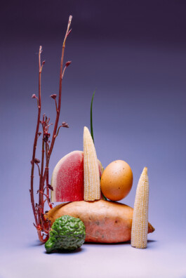 JulieCapelleNutritionniste